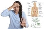 How CBD May Help With Menopause Symptoms – AskTheTrainer.com