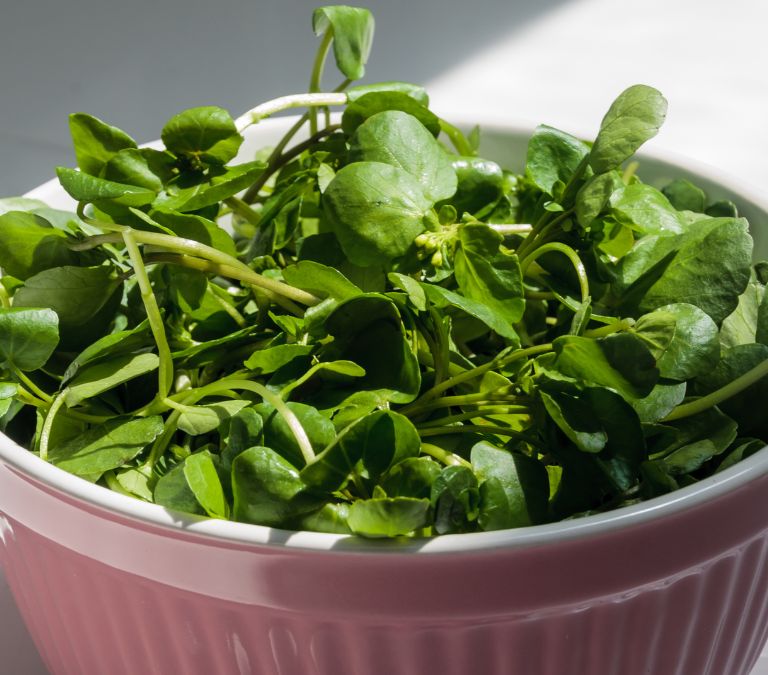How Eating Your Greens Improve Menopausal Symptoms Watercress