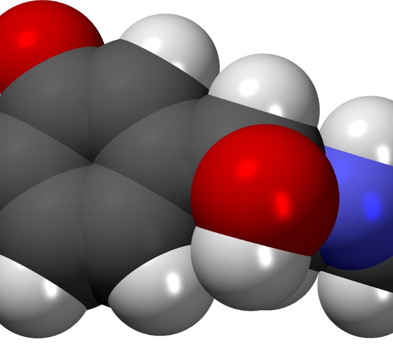 Menopausal Hormone Therapy and Risk of Incidental Hypertension Hormones