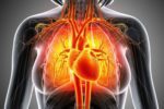 How to Reduce Cardiovascular Health Risk During Menopause