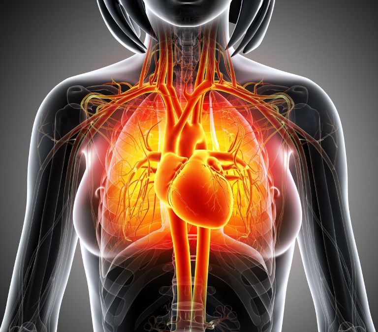 How to Reduce Cardiovascular Health Risk During Menopause