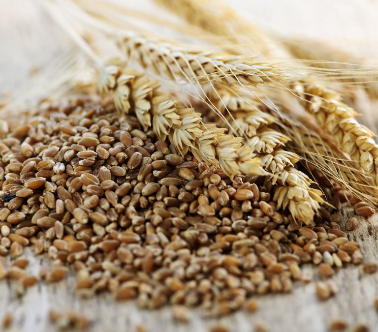 9 Foods that Fight Hot Flashes Whole Grains
