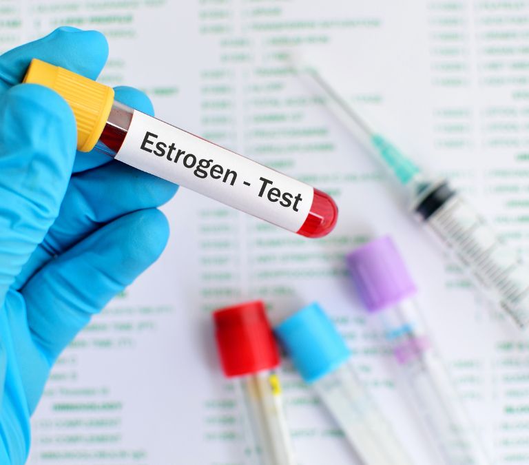 What is Estrogen