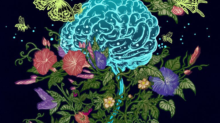 08sci Hormones cover videoSixteenByNine3000 768x432