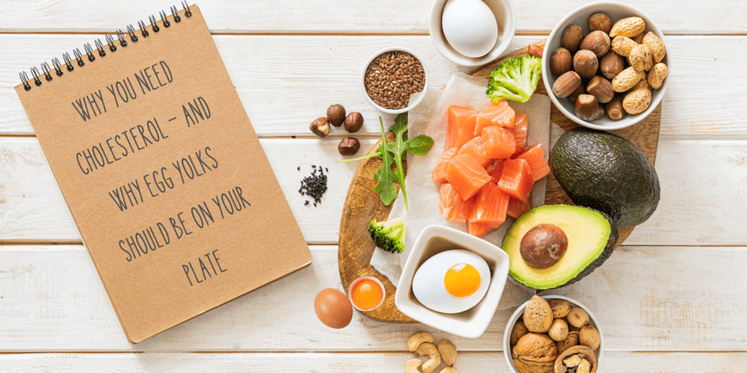 Rebuilding the Gut Mitochondria Products 1 1536x768 1 1080x540