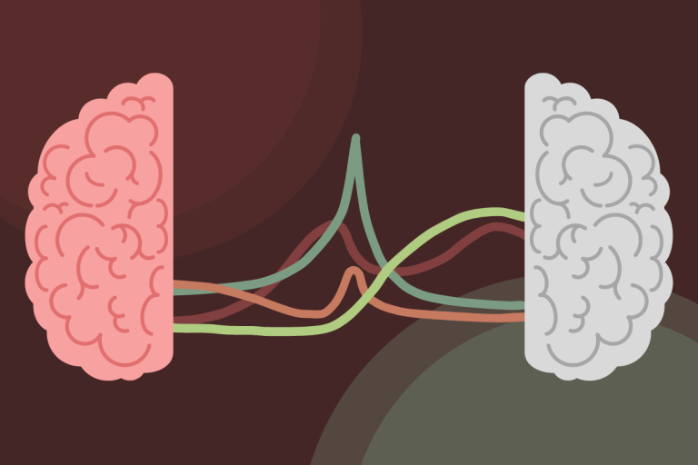 brain cycle cofluctuations cover graphic 768x512