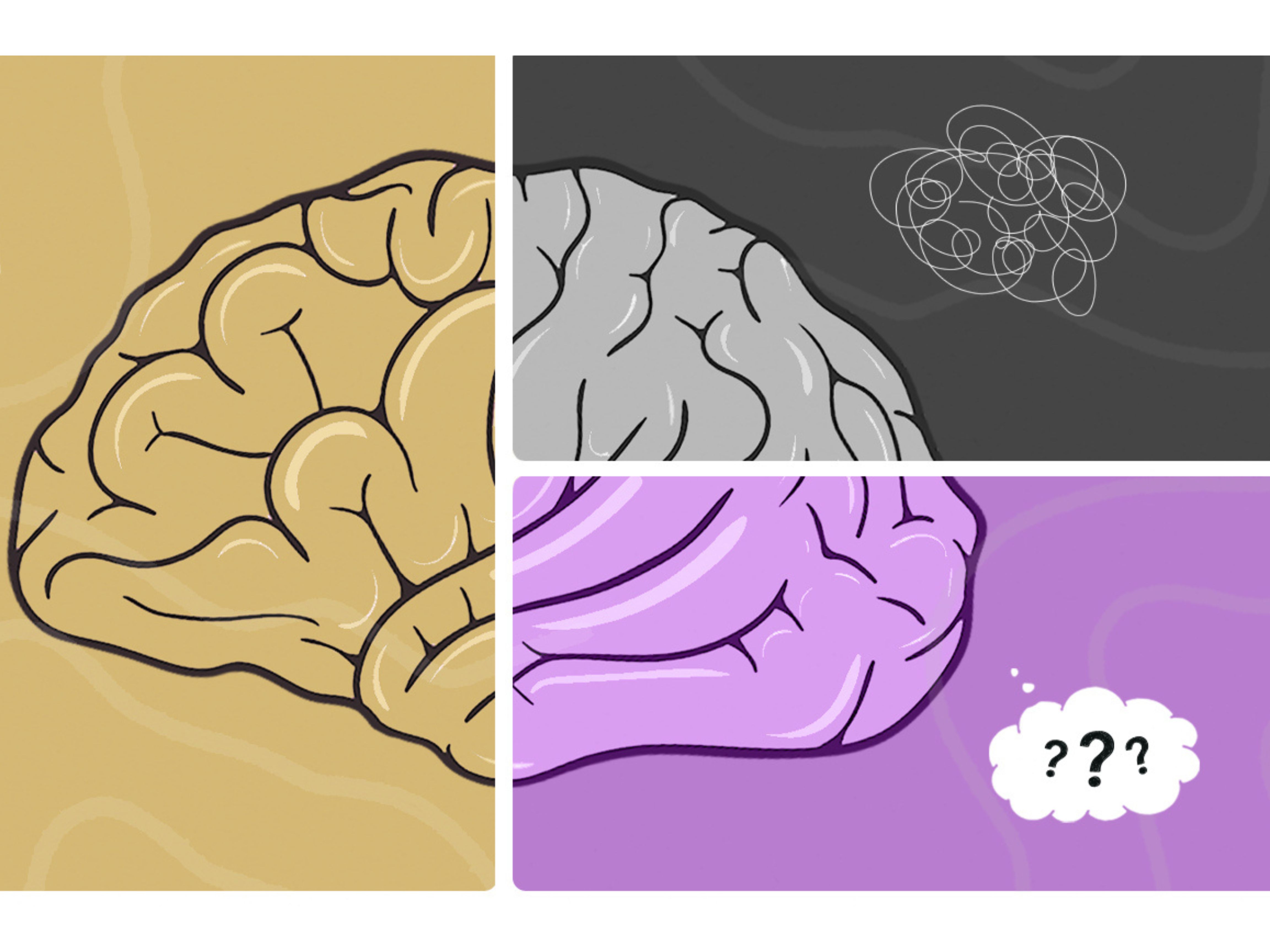 Dr Daved Rosensweet Menopause Article Image 1