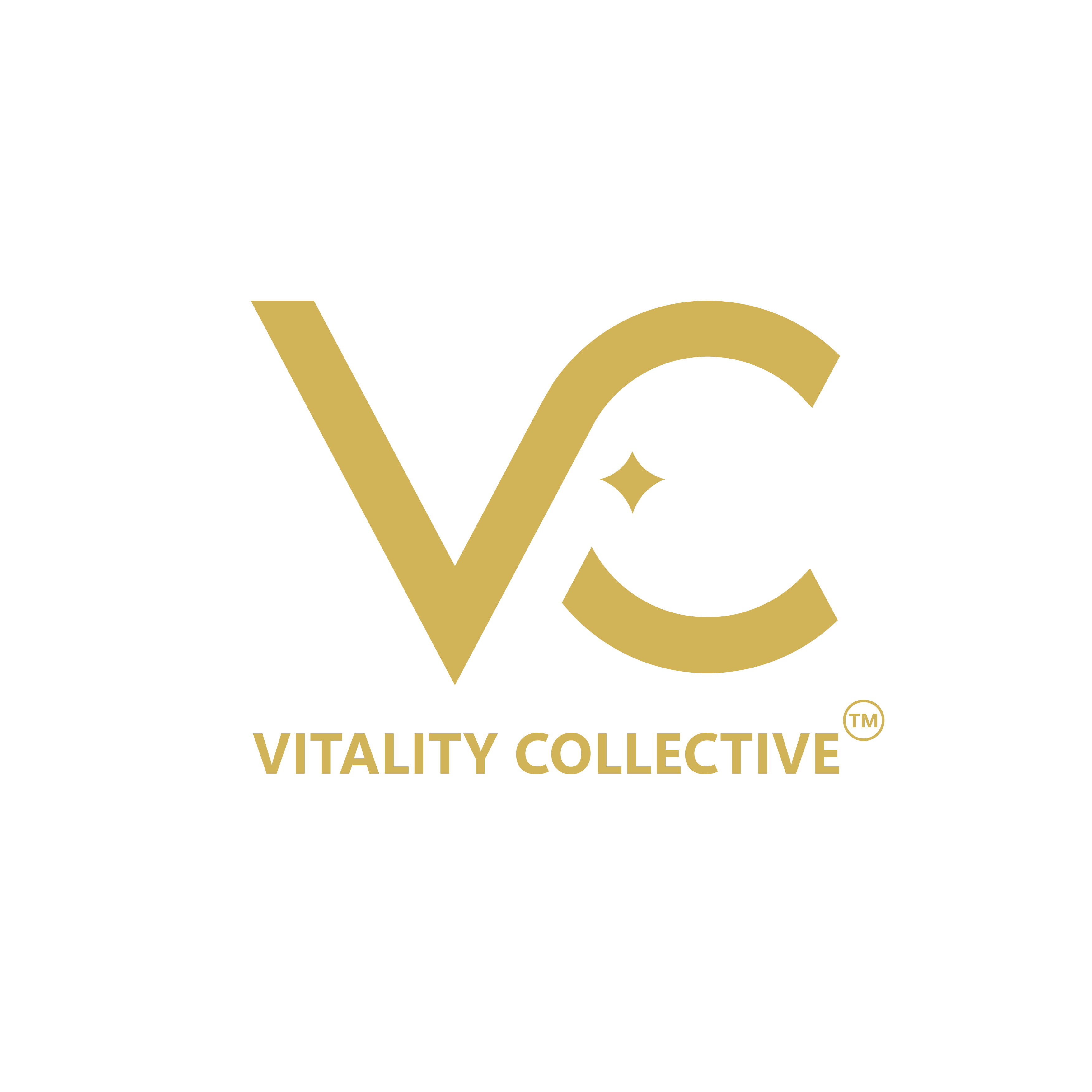 Logo V1 Feed back 05 PNG 03