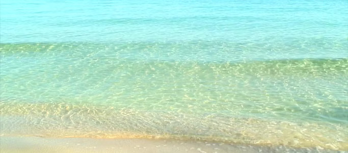 471812 f1359fe58df644c780a1df6e06e507d8f000